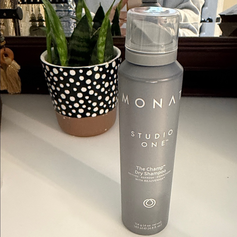 Studio One The Champ Dry Shampoo — Gray